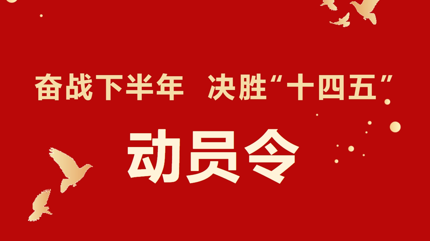 77����-ר������ָ��������ƽ̨